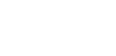 Cheetah Digital