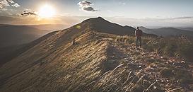 En quoi la complexité rend les entreprises plus fragiles ?