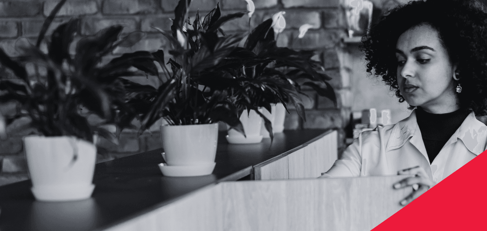 Directive CSRD en 2024 : quelles sont les nouvelles obligations des entreprises ?