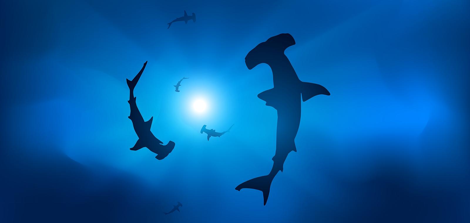 Personnalisez vos modèles IA pour un impact mesurable en 2026